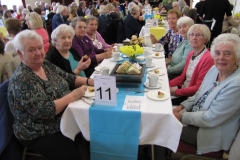 10-year-celebration_39180649620_l