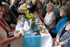 10-year-celebration_39180655770_l