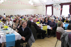 10-year-celebration_39967785225_l