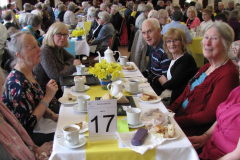 10-year-celebration_40096552255_l