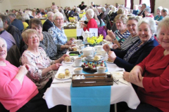 10-year-celebration_40152866364_l