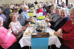 10-year-celebration_40931080862_l