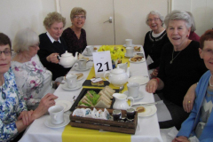 10-year-celebration_40948268502_l