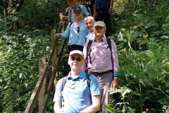 20250721_111520-rotated