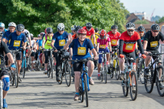 cycle-live-282_42166454385_z