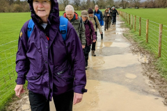 pxl_20240317_1453498302_53595402905_l