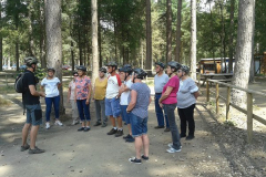 rsz_1seg_1_42712136995_z