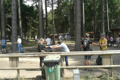 rsz_seg_3_28728686067_z