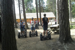 rsz_seg_8_28728683567_z