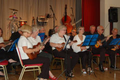 ukulele-band-at-hog-roast-oct-16_30206758225_l